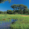 Route 71 to Tzaneen – a different world